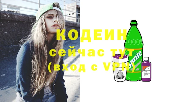 соль ск Кодинск